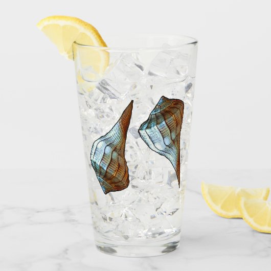 貝殻 タンブラーグラス (アイス正面)