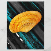 貝殻 チラシ (正面)