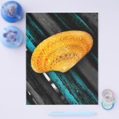 貝殻 チラシ (シングル)