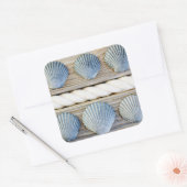 貝殻 |ニューヨーク スクエアシール (封筒)