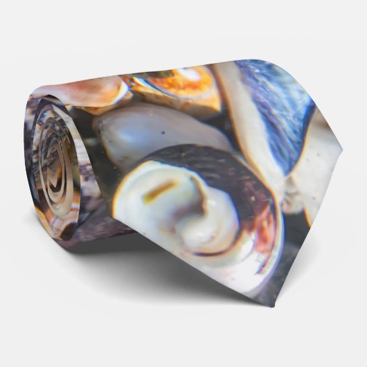 貝殻 ネクタイ (ロール)