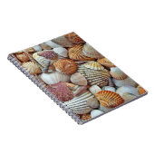 貝殻 ノートブック (右側)