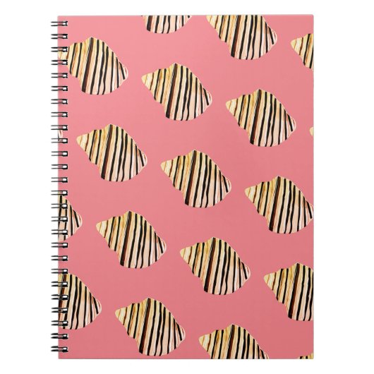 貝殻 ノートブック (正面)