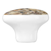 貝殻，ビーチ，水，砂，海，海上，写真， セラミックノブ (側面)