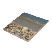 貝殻，ビーチ，水，砂，海，海上，写真， タイル (側面)