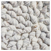 貝殻 ファブリック (見本)