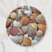 貝殻 フェイバータグ (正面)