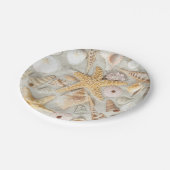 貝殻 ペーパープレート (アングル)