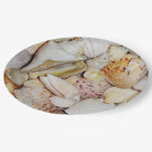 貝殻 ペーパープレート (アングル)