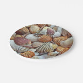 貝殻 ペーパープレート (アングル)