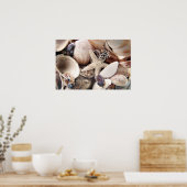 貝殻 ポスター (キッチン)