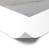 貝殻 ポスター (角)