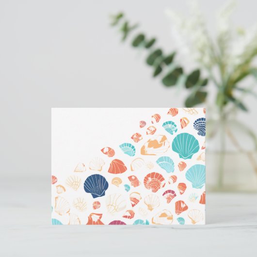 貝殻 ポストカード (スタンド正面)