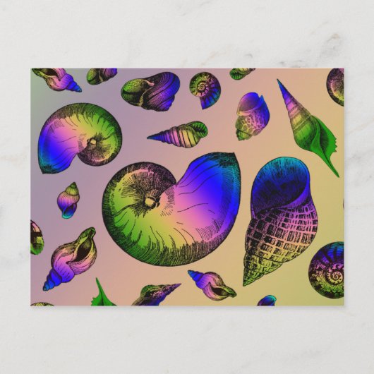 貝殻 ポストカード (正面)