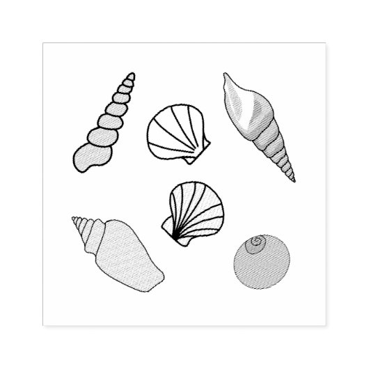 貝殻 ラバースタンプ (インプリント)