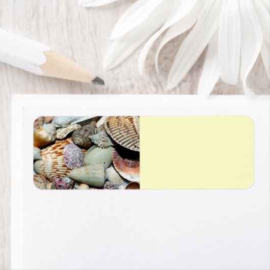 貝殻 ラベル (インサイチュ)