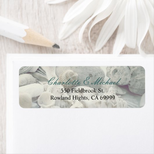貝殻 ラベル (インサイチュ)