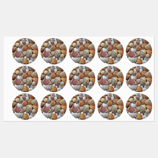 貝殻 ラベル (シート)