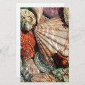 貝殻 便箋 (正面/裏面)