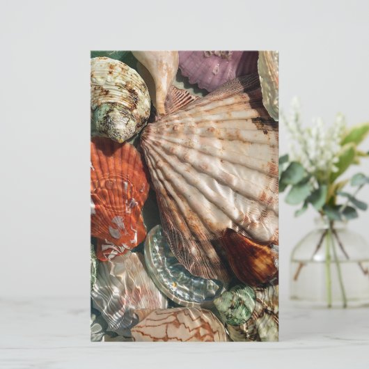 貝殻 便箋 (スタンド正面)