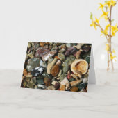 貝殻、岩、サンゴ自然写真 カード (黄色い花)