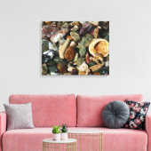 貝殻、岩、サンゴ自然写真 キャンバスプリント (インサイチュ (リビング))