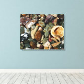 貝殻、岩、サンゴ自然写真 キャンバスプリント (インサイチュ (ウッドフロア))