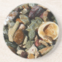 貝殻、岩、サンゴ自然写真