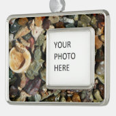 貝殻、岩、サンゴ自然写真 シルバープレートフレームオーナメント (左)