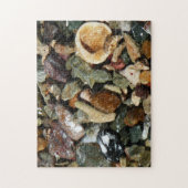 貝殻、岩、サンゴ自然写真 ジグソーパズル (縦)