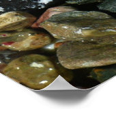 貝殻、岩、サンゴ自然写真 ポスター (角)