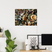 貝殻、岩、サンゴ自然写真 ポスター (ホームオフィス)