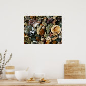 貝殻、岩、サンゴ自然写真 ポスター (キッチン)