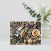 貝殻、岩、サンゴ自然写真 ポストカード (スタンド正面)