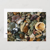 貝殻、岩、サンゴ自然写真 ポストカード (正面/裏面)