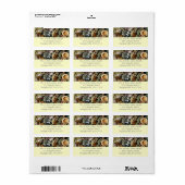 貝殻、岩、サンゴ自然写真 ラベル (フルシート)