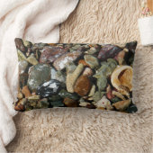 貝殻、岩、サンゴ自然写真 ランバークッション (ブランケット)