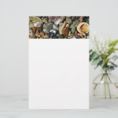 貝殻、岩、サンゴ自然写真 便箋 (スタンド正面)