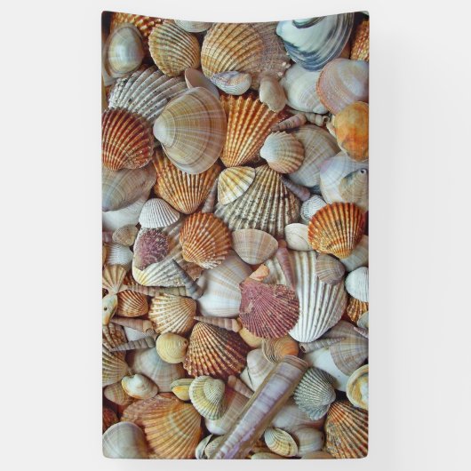 貝殻 横断幕 (縦)