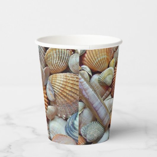 貝殻 紙コップ (右)