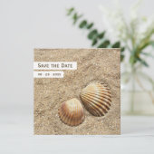 貝殻 - 結婚式のご案内 セーブザデート (スタンド正面)