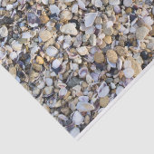 貝殻 薄葉紙 (詳細)