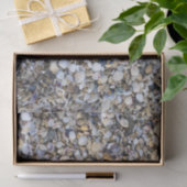 貝殻 薄葉紙 (ギフト)