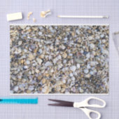 貝殻 薄葉紙 (クラフト)