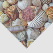 貝殻 薄葉紙 (詳細)