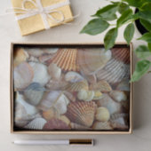 貝殻 薄葉紙 (ギフト)