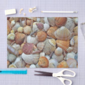 貝殻 薄葉紙 (クラフト)