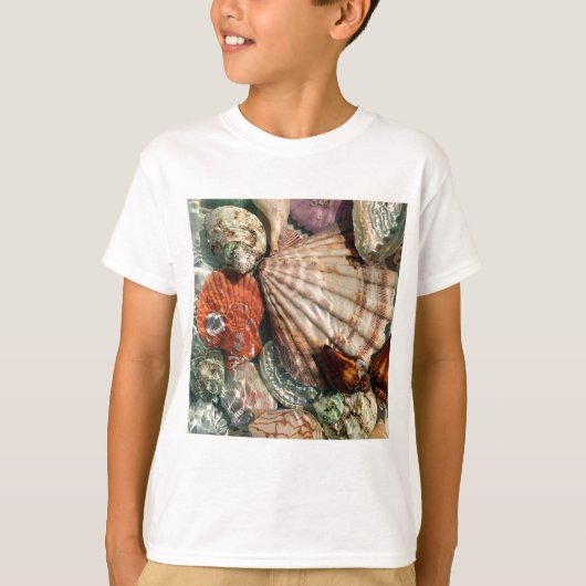 貝殻 Tシャツ (正面)
