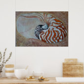 貝殻nautilus ポスター (キッチン)