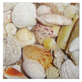 貝瓦 タイル (正面)